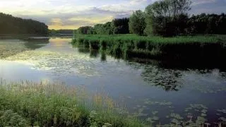 Parcul national Donau-Auen (Austria)