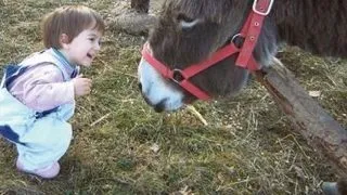 In satul Salicea a fost infiintat "un parc de mangaiat animale"