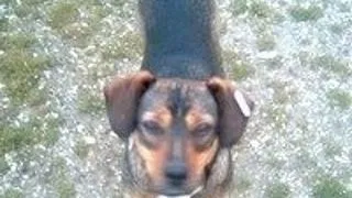 Expozitia de toamna Sofisticat 2007