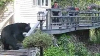 Cum a alungat o femeie un urs de pe verenda casei (Video)