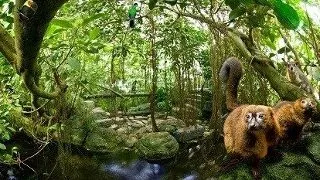 Randers Regnskov: padurea tropicala din Danemarca