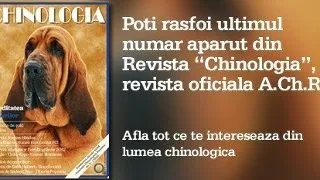 Lansarea revistei online Chinologia