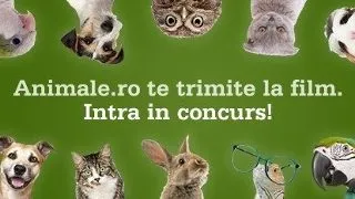 Voteaza povestea preferata si castiga!