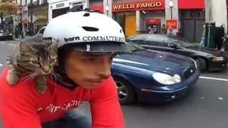 Mary Jane, pisicuta care se plimba cu bicicleta! (VIDEO)