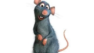 Top 10 al celor mai bune filme cu animale