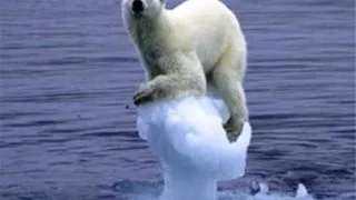 Concluzii socante: Incalzirea globala va duce la disparitia masiva a vegetatiei si animalelor