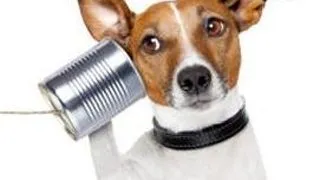 Exista oameni care comunica usor cu animalele