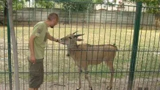 Cea mai moderna gradina zoologica din Romania s-a deschis la Oradea