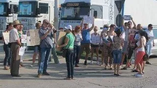 Craiova: proteste impotriva folosirii elefantilor in spectacolele de circ