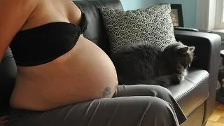 Femeia gravida nu trebuie sa renunte la pisica