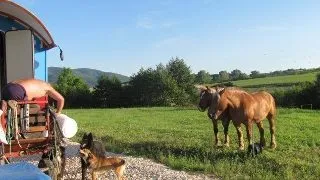 A renuntat la tot pentru o caruta, doi cai si doi caini