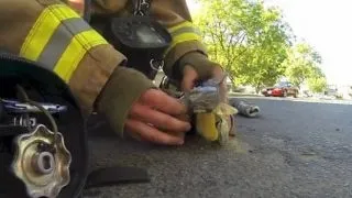 Un pompier a resuscitat un pisoias intr-un incendiu