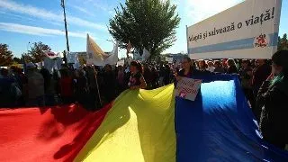 Vier Pfoten cere medicilor veterinari si primarilor sa reactioneze
