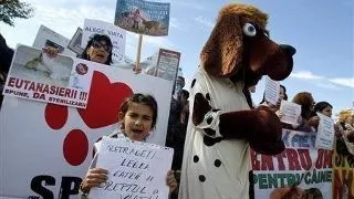 Cesar Milan condamna legea eutanasierii din Romania