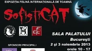 HalloWinner Cat Show   - 2-3 noiembrie 2013 Expozitia Internationala Felina de Toamna