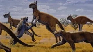 Top 4 variante infricosatoare ale unor animale adorabile