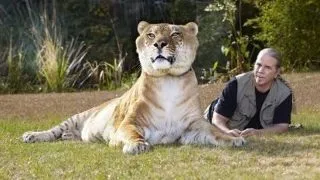 Top 5 animale hibride fascinante