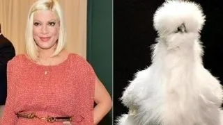Vedetele si animalele lor exotice de companie