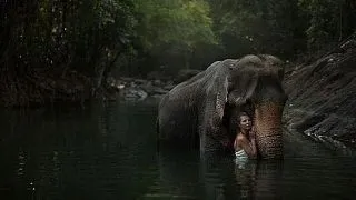 Fotografii de poveste cu animale salbatice, 100% adevarate! FOTO