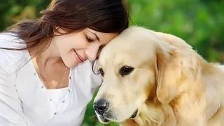 6 lectii de viata pe care ti le preda cainele tau
