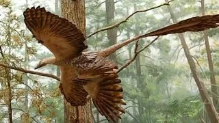10.000 de specii de dinozauri traiesc si astazi pe Pamant! Cum este posibil