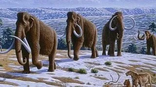 8 curiozitati mai putin stiute despre mamutul lanos