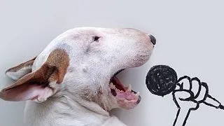 Un ilustrator creeaza desene amuzante si emotionante cu ajutorul cainelui sau FOTO