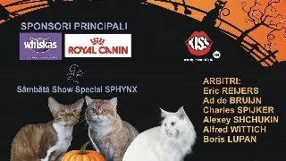 HalloWinner Cat Show!
