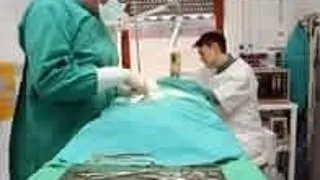 10 motive pentru a-ti steriliza animalutul de companie