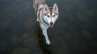 In Siberia natura este magica