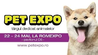 7 activitati de week-end cu copilul tau la Pet Expo