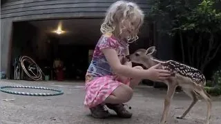 Adorabil! Intalnirea dintre puiul de caprioara si micuta fetita