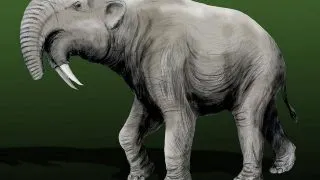 Ramasitele unor animale preistorice gigantice, descoperite in judetul Vaslui