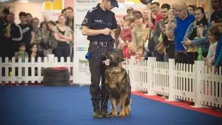 PetExpo gazduieste anul acesta 14 evenimente, jocuri si concursuri