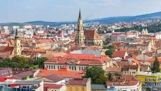 Top 7 destinatii perfecte pentru iubitorii de pisici