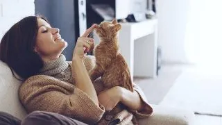 7 lucruri pe care trebuie sa le stii inainte sa adopti o pisica