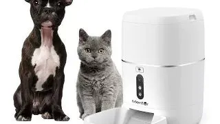 Ai grija de animalul tau de companie atunci cand esti plecat, cu dispenserul inteligent Mentor
