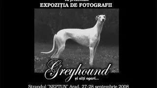 Expozitie inedita