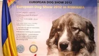 Euro Dog Show Bucuresti 2012