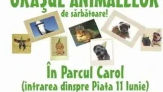 Orasul animalelor - editia a doua