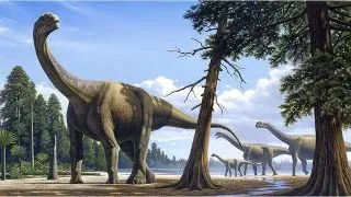 CAMARASAURUS-ul  ( SOPARLA cu CAVITATI )