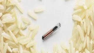 Microcipurile favorizeaza aparitia cancerului?