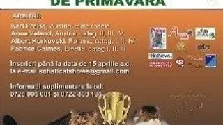 Expozitia felina internationala de primavara