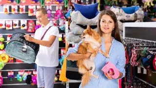 Pet shop versus farmacie veterinara: care sunt diferentele