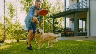Ghid pentru mentinerea sanatatii si longevitatii cainelui tau
