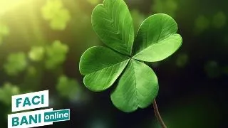 Plantele care iti aduc noroc la cazinou