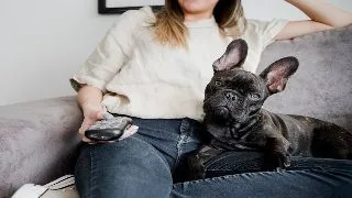 Descopera ce animale sunt fascinante de televizor