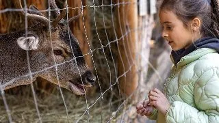 Ghidul complet al parcurilor si gradinilor zoologice din Romania: Ce sa vizitezi si cand