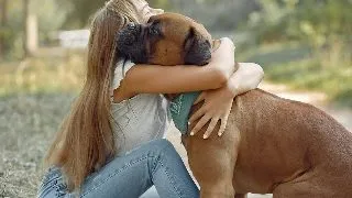De ce sunt cainii animalele de companie preferate