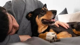 Cum sa alegi animalul de companie potrivit in functie de zodie